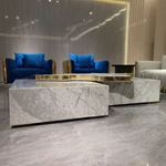 Art-Inspired Marble Coffee Table with Gold Accent Detail